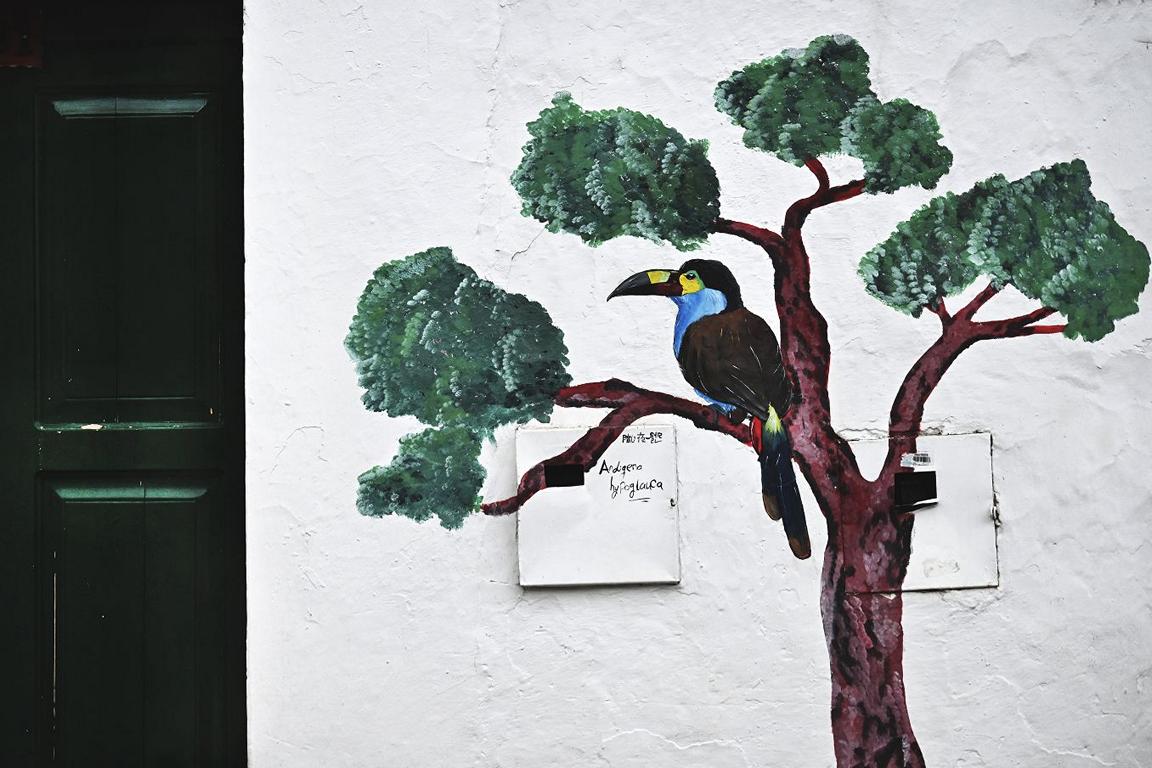 Bogota Candelaria Colombia